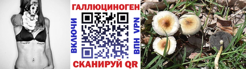Галлюциногенные грибы мухоморы  Чадан 
