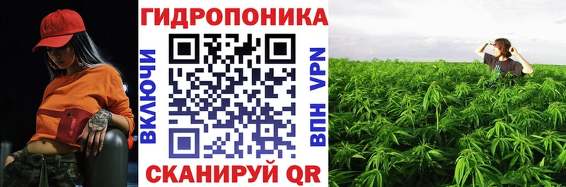 Бошки Шишки индика Чадан